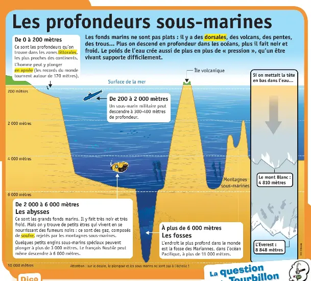  ??  ?? 200 mètres 2 000 mètres 4 000 mètres 6 000 mètres Île volcanique Montagnes sous-marines Si on mettait la tête en bas dans l’eau… Le mont Blanc : 4 810 mètres L’Everest : 8 848 mètres