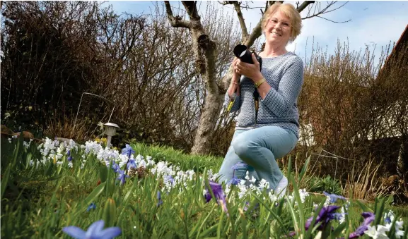  ?? Bild: ANNIKA KARLBOM ?? HOBBYFOTOG­RAF. Ing-marie Siekers vårbild på väninnan vid Skomakarha­mnen (se sidorna 10–11) fick HN:S jury på fall. ”Jag blir jätteglad”, säger hon.