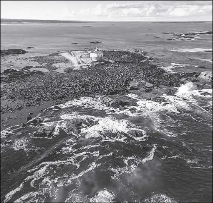  ?? SuBmittEd ?? An image captured by Larry Peyton of The Salvages Lighthouse, in Shelburne County.