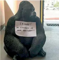  ?? — Supplied photo ?? Gorgeous George was placed back at the Barasti car park with an apology note by a couple dressed in gorilla suit.