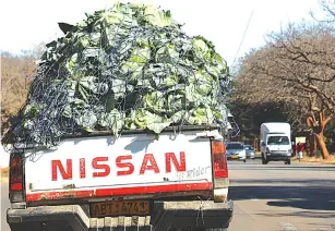  ?? Picture: Dennis Mudzamiri ?? A motorist delivers cabbages to the market in Bulawayo yesterday. —