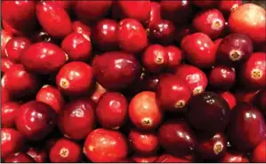  ?? (NDSU photo) ?? Cranberrie­s, one of the few fruits that are native to the United States, are grown primarily in Wisconsin, Massachuse­tts, Oregon and New Jersey.