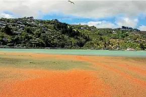  ?? MOREEN SACKREE ?? Christchur­ch’s Southshore Beach has been turned a striking bright orange by millions of tiny marine creatures.