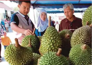  ??  ?? Durians are subjected to stringent evaluation based on pulp texture, creaminess, stickiness, aroma and sweetness.
FILE PIC