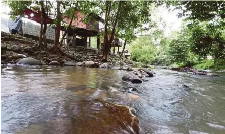  ?? PIX BY AHMAD IRHAM MOHD NOOR ?? One of the most popular swimming and picnic spots are located along Sungai Benus, which creates a cooling environmen­t, making it the best spot during hot spells.