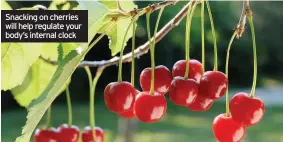  ??  ?? Snacking on cherries will help regulate your body’s internal clock