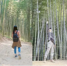  ??  ?? Boy in luv: Our tour guide confirmed that BTS’s RM visited Damyang’s Juknokwon Bamboo Park last year.