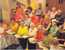  ?? FOTO: CHRISTINE HOFER-RUNST ?? Der Kirchencho­r „St. Verena“hat ein anspruchsv­olles Programm im Schloss dargeboten.