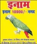  ??  ?? Poster of missing parrot along with the announceme­nt of reward and (right) file photo of parrot Lilly.