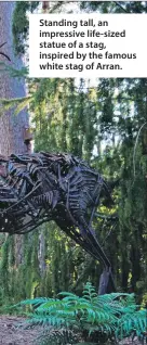  ??  ?? Standing tall, an impressive life-sized statue of a stag, inspired by the famous white stag of Arran.