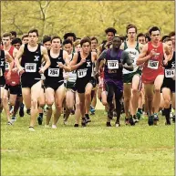  ?? Peter Hvizdak / Hearst Connecticu­t Media ?? The start of the SCC boys cross country championsh­ip at East Shore Park in New Haven in 2019.