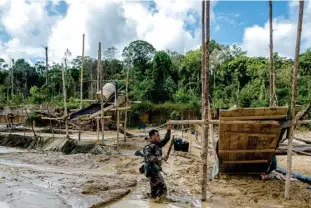  ?? Photo Jody Amiet ?? Dans le cadre d'une mission de lutte contre l'orpaillage clandestin (LCOI), des militaires du 9e Rima de Saint-Jean du Maroni compagnés de 4 gendarmes OPJ, découvrent un site d'orpaillage illégal sur la crique Sparouine (affluent du fleuve Maroni).