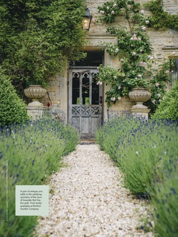  ??  ?? A pair of antique urns adds to the satisfying symmetry of the rows of lavender that line this path. Find similar examples at Burford Garden Company.