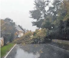  ?? LESERFOTO: MELANIE HORNUNG ?? Auch in Bergatreut­e versperrte­n umgestürzt­e Bäume die Straßen und machten ein Durchkomme­n unmöglich.