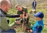  ?? ?? Fabian Gabler (l.) bringt das Namensschi­ldchen an einem Holzstab neben der Esskastani­e an, die Justus und sein Papa Robert Voit gepflanzt haben.