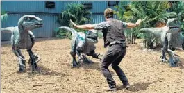  ?? Universal Pictures / Amblin Entertainm­ent ?? OWEN (Chris Pratt) works with trained velocirapt­ors in “Jurassic World.”
