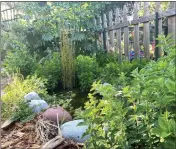  ?? COURTESY OF LATE BLOOMERS PERMACULTU­RE ?? Jed and Selim's pond adds beauty, helps regulate the microclima­te and attracts beneficial insects.