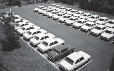  ??  ?? The first batch of Peugeot 504s to be assembled in Thames, with a rogue Renault and a couple of 404 utes in shot as well