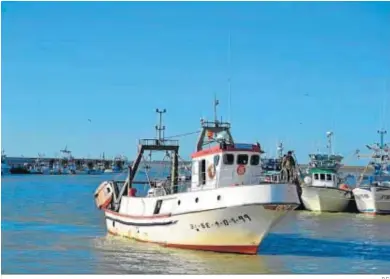  ?? D.C. ?? Barcos de pesca en el puerto de Sanlúcar de Barrameda.