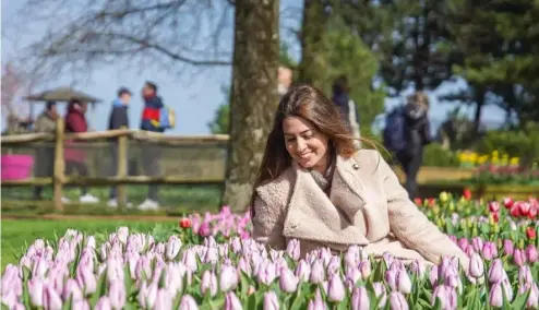  ?? ?? Why not tiptoe through the tulips at Keukenhof this spring?