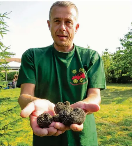  ??  ?? Depuis l’an dernier, Christian Duval fait la cueillette de la truffe blanche d’été dans son jardin.