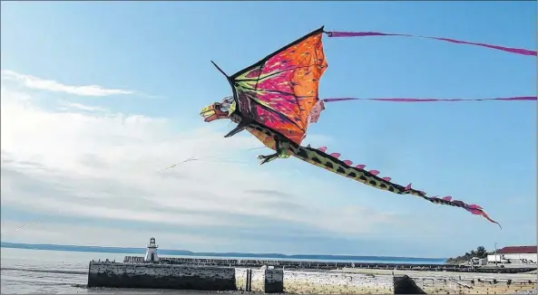  ?? CONTRIBUTE­D ?? Kites fly high at low tide at the beach in Belliveau Cove.