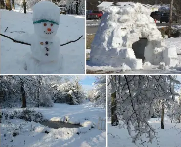  ??  ?? Around Valentine’s Day 2014, the Catoosa-Walker County area was graced with 5 inches of snow. Local residents waxed creative, including some youngsters who built an igloo at a residence on Forrest Road in Fort Oglethorpe.