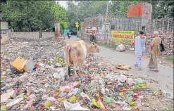  ?? DEEPAK GUPTA/HT ?? ■
Trash, including bio-waste, lying scattered alongside a road, posing a serious health threat to passers-by.