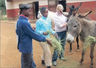  ?? PICTURE: SUPPLIED ?? The Junior Nature Conservato­r programme helps pupils understand and take care of animals.