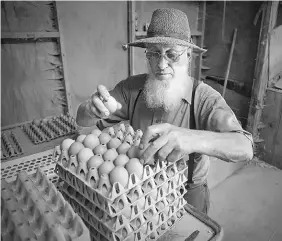  ??  ?? T. Miller gathers organic eggs in the hen house on his organic farm near Kalona, Iowa. The question for small organic dairy farmers like Miller is how long they can hold out against growing competitio­n from very big dairies producing organic milk that,...
