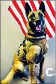  ?? PHOTO COURTESY SCSO/ Special to The Saline Courier ?? Saline County Sheriff’s Office K-9 Cain died on July 8.