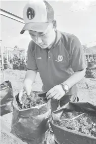  ?? — Gambar Bernama ?? IKUT SPESIFIKAS­I: Norhashim meneliti kandungan beg poli yang digunakan untuk menanam cili di ladang cili secara fertigasi di Kampung Sijangkang, Selangor.