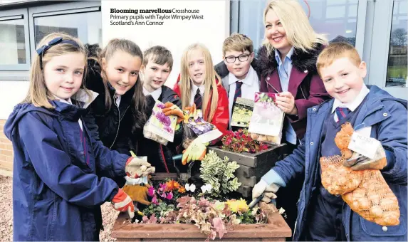  ??  ?? Blooming marvellous­Crosshouse Primary pupils with Taylor Wimpey West Scotland’s Ann Connor