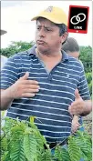  ??  ?? Técnico. Rubén Corral es experto en la producción de café robusta.