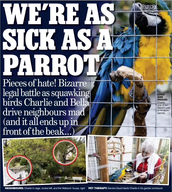  ?? ?? LOUD AND PROUD: Charlie, one of Iain Gauld’s pair of Amazon parrots
NEIGHBOURS: Charlie in cage, circled left, and the Watsons’ house, right PET THERAPY: Sandra Gauld feeds Charlie in his garden enclosure