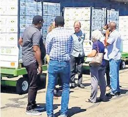  ?? CONTRIBUTE­D ?? Agricultur­e Minister Audley Shaw (centre) and ministry staff inspect a shipment of mangoes destined for the US at the Norman Manley Internatio­nal Airport on Monday, June 8.