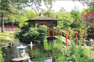  ?? PHOTOS COURTESY OF AQUASCULPT­URE ?? A water feature complete with bubbling fountain, stone sculpture, foot bridge and various plants creates a Zenlike Japanese garden in this St-Adèle scene.