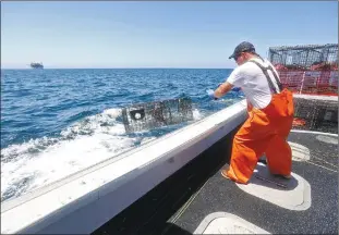  ?? Los Angeles Times/tns ?? Deck hand Dan Mccafferty, who also owns. fishing boat, drops shrimp cages back into the Pacific Ocean after retrieving a load of shrimp while fishing in the Pacific Ocean west of Huntington Beach on Aug. 10.