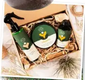  ??  ?? $44.99
We The Wild The Plant Lovers’ Essential Kit wethewild.co