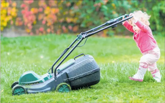  ?? PICTURE / GETTY IMAGES ?? A good looking lawn is all in the maintenanc­e.