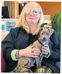  ?? ?? Lorraine Howe, Caen Hill Marina manager, lovingly holds her new canine acquisitio­n, Jackie Chan.