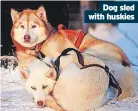  ?? ?? Dog sled with huskies