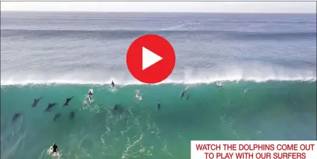  ??  ?? eMdloti resident Richard Melvill captured a video of dolphins riding the waves at eMdloti beach at the weekend.