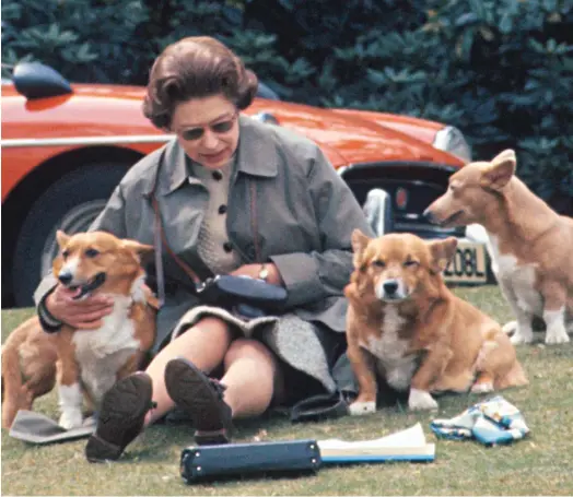  ??  ?? Top dogs: When the Queen is at one of her estates, her corgis go, too — with fillet steak and chicken breast on their menu