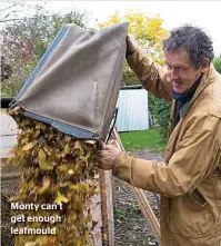  ??  ?? Monty can’t get enough leafmould