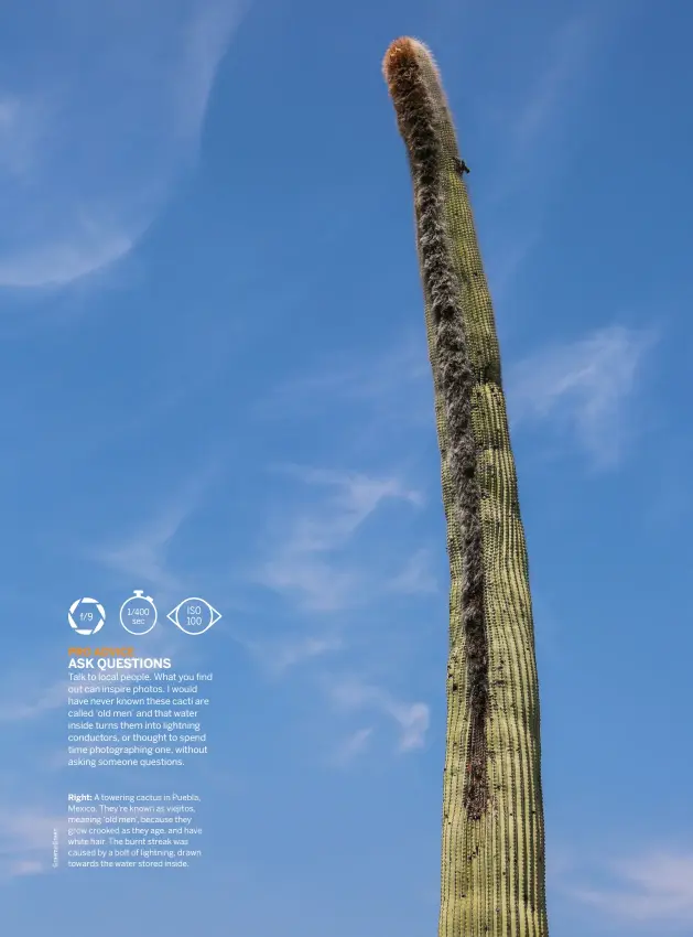  ??  ?? Right: A towering cactus in Puebla, Mexico. They’re known as viejitos, meaning ‘old men’, because they grow crooked as they age, and have white hair. The burnt streak was caused by a bolt of lightning, drawn towards the water stored inside.