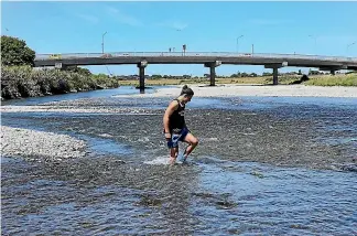  ?? PHOTO: KEVIN STENT/STUFF ?? Ridge Studd, 16, wades into the Hutt River near Ewen Bridge yesterday, where it is now possible to walk across. Ridge would usually go for a swim but is sticking to the beach because of toxic algae levels in the water.