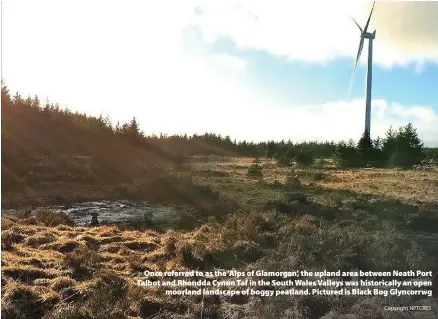  ?? Copyright NPTCRES ?? Once referred to as the ‘Alps of Glamorgan’, the upland area between Neath Port Talbot and Rhondda Cynon Taf in the South Wales Valleys was historical­ly an open moorland landscape of boggy peatland. Pictured is Black Bog Glyncorrwg