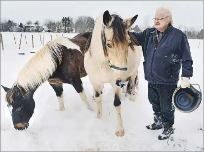  ?? HEATHER TAWEEL/ THE GUARDIAN ?? Retired Liberal MLA Ron MacKinley feeds some of the horses on his farm in Cornwall. MacKinley has been busy catching up on farm and household chores since leaving politics last spring.