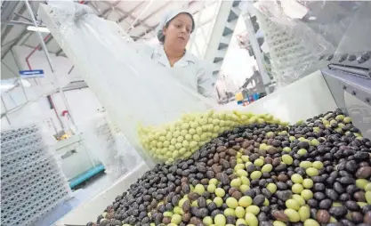  ?? ?? Nesta Páscoa, os portuguese­s deverão sentir um aumento de preços dos chocolates nos supermerca­dos.